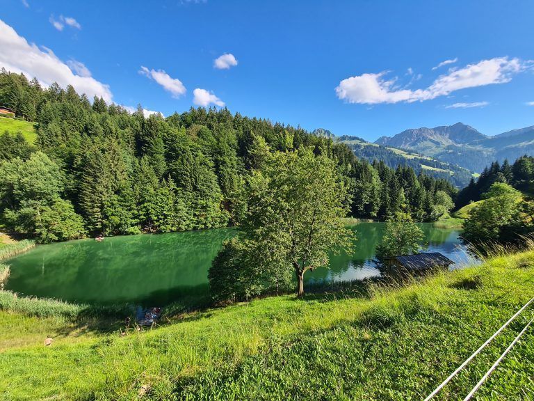 Seestüble, Seewaldsee, see&me, Gastronomie, Bistro, neue Pächter