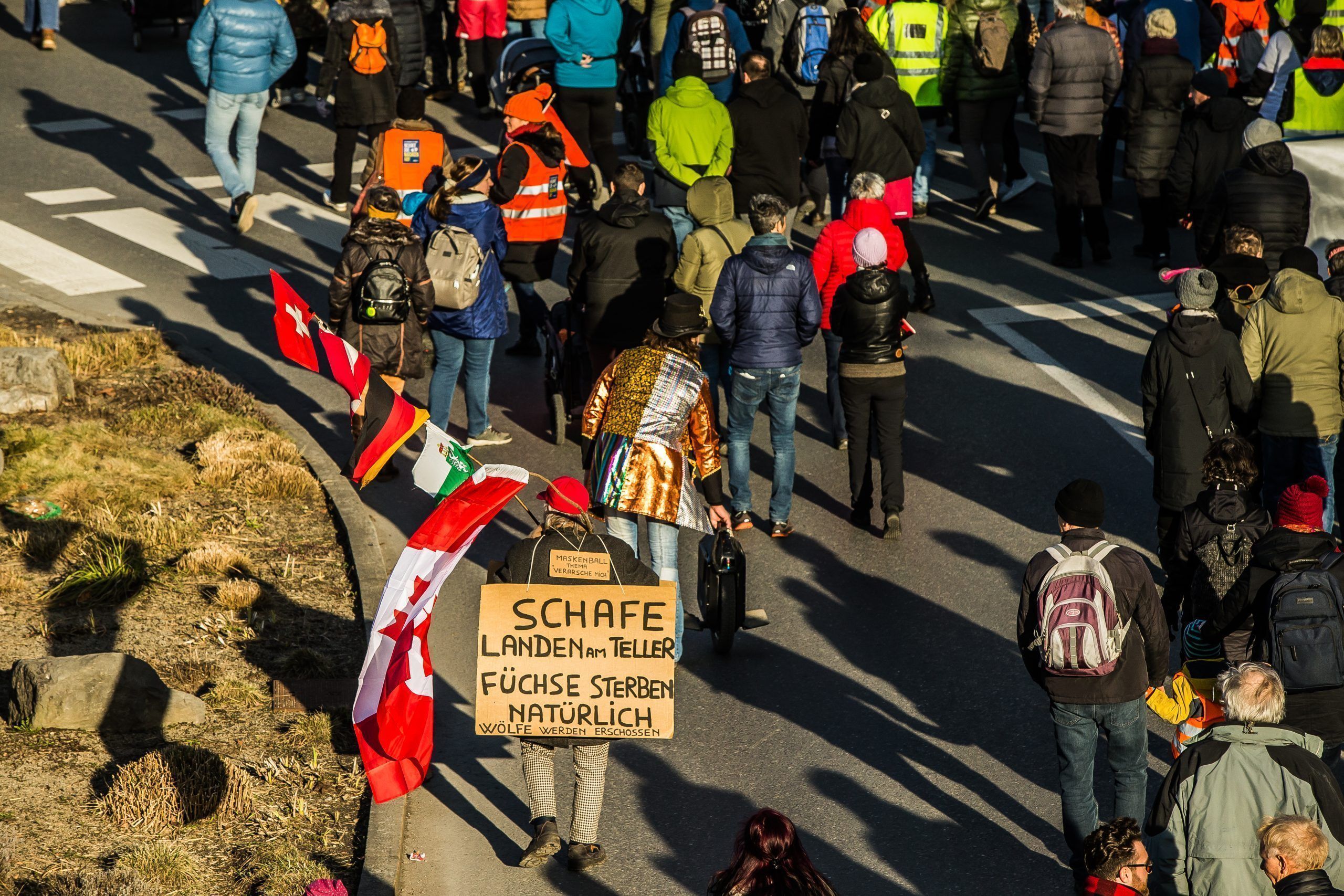 Covid19, corona, demonstration, demo, großdemo, samstagsdemo