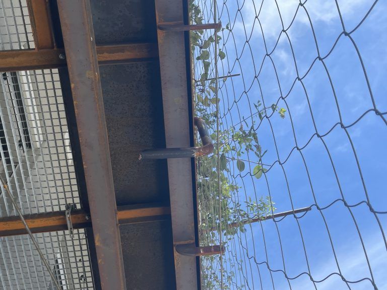 Bauarbeiten Arbeiterkammer, Wandbegrünung