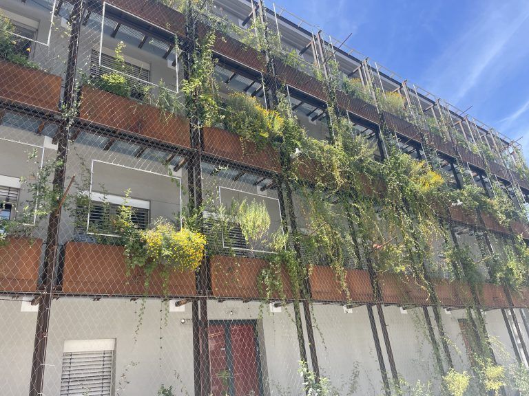 Bauarbeiten Arbeiterkammer, Wandbegrünung
