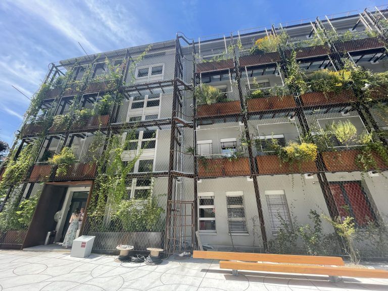 Bauarbeiten Arbeiterkammer, Wandbegrünung