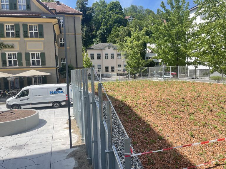 Bauarbeiten Arbeiterkammer, Wandbegrünung
