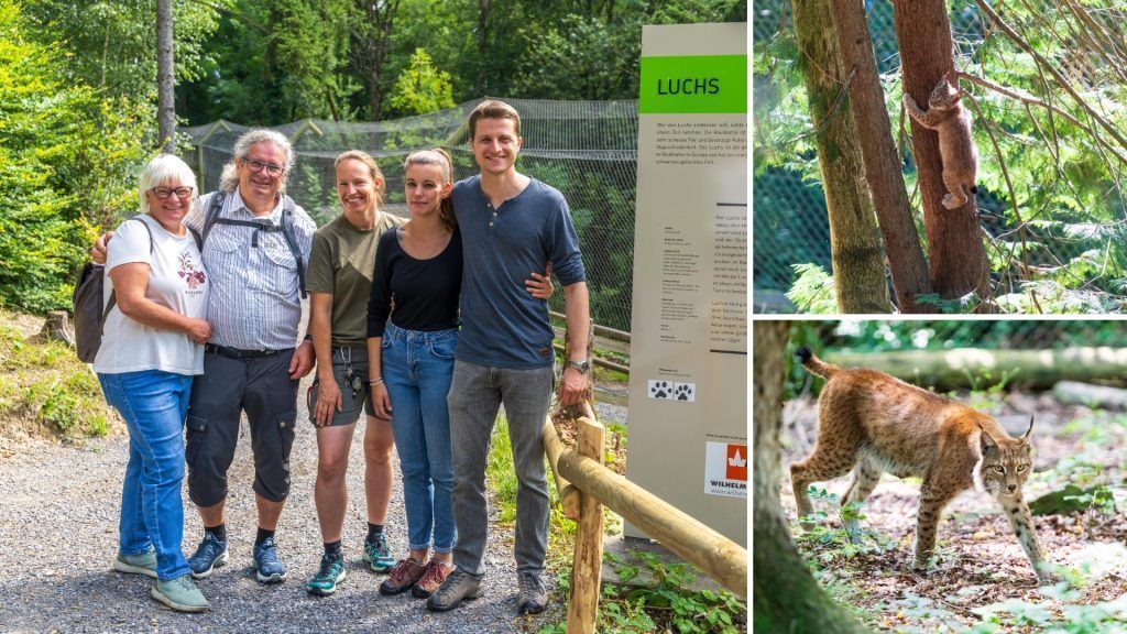 Die Luchspaten sagen erstmals „Hallo“