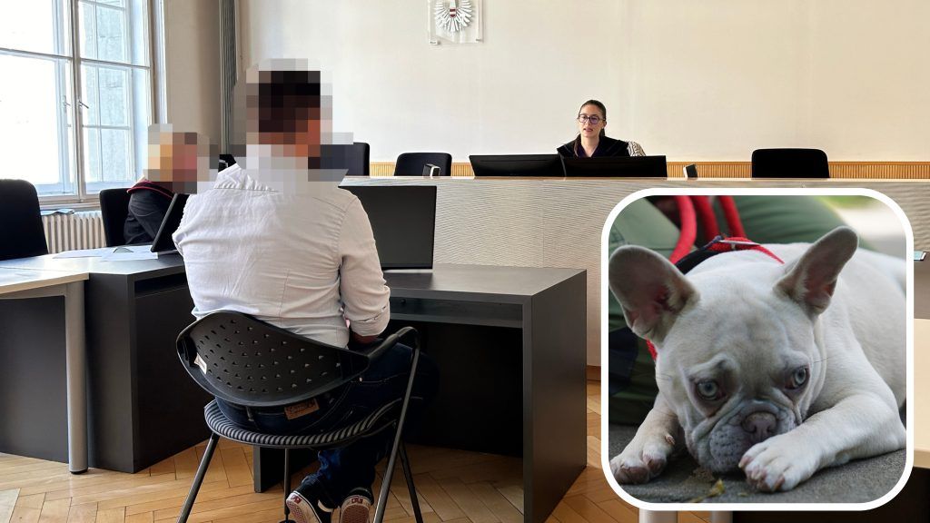 Brutale Tierquälerei im Montafon: Familienhund vom Balkon geworfen