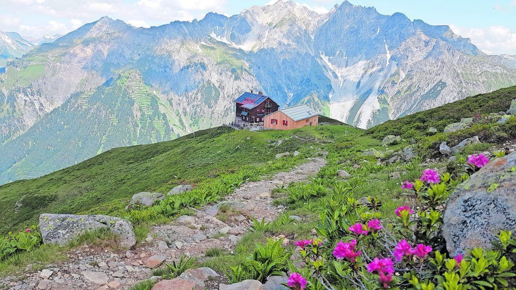 Durch „Blueberry Hills“ zum Hüttenseeli