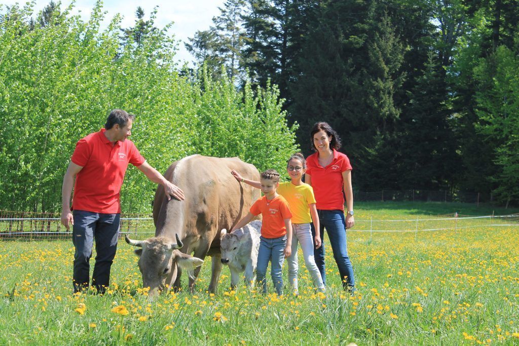 &#8220;Jeder Kunde weiß, er hat den Ikarus gegessen&#8221;