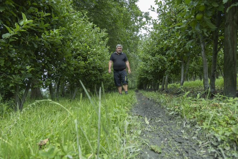 Obstbauer Alois Greiner Hagel Hagelschaden Apfel Apfelanbau Obst Unwetter