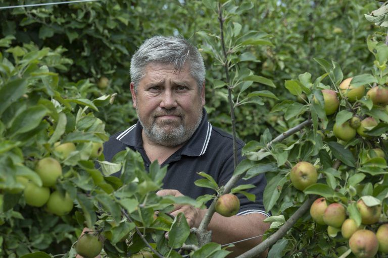 Obstbauer Alois Greiner Hagel Hagelschaden Apfel Apfelanbau Obst Unwetter
