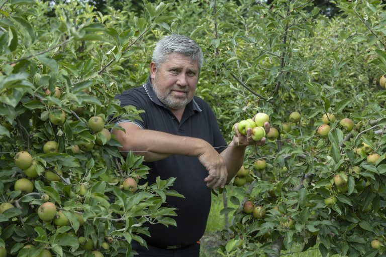 Obstbauer Alois Greiner Hagel Hagelschaden Apfel Apfelanbau Obst Unwetter