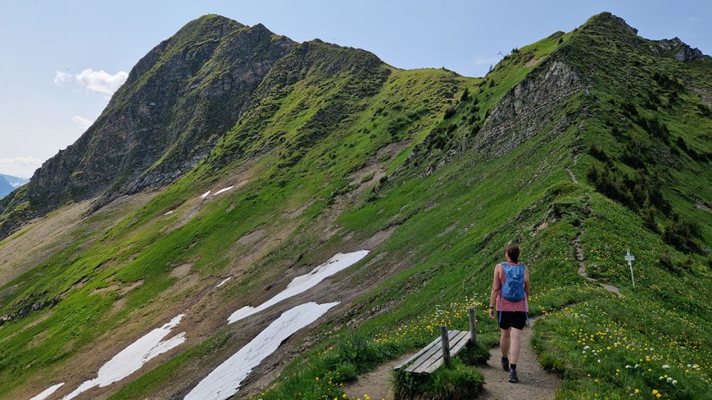 Auf den höchsten Berg des Bregenzerwald-Gebirges