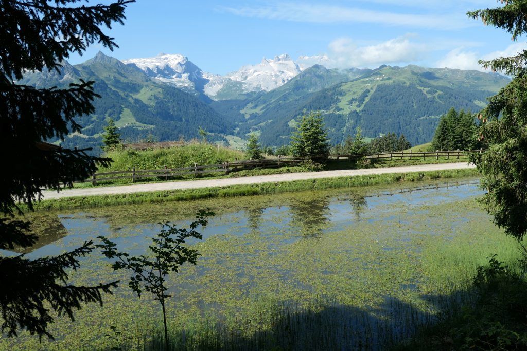 Zwischen zwei Tälern