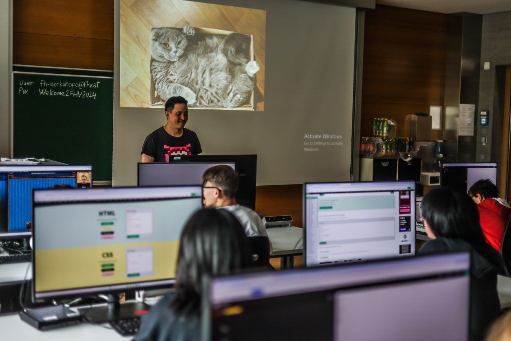 Code Base Camp: von Katzen in Kartons zu HTML-Tags
