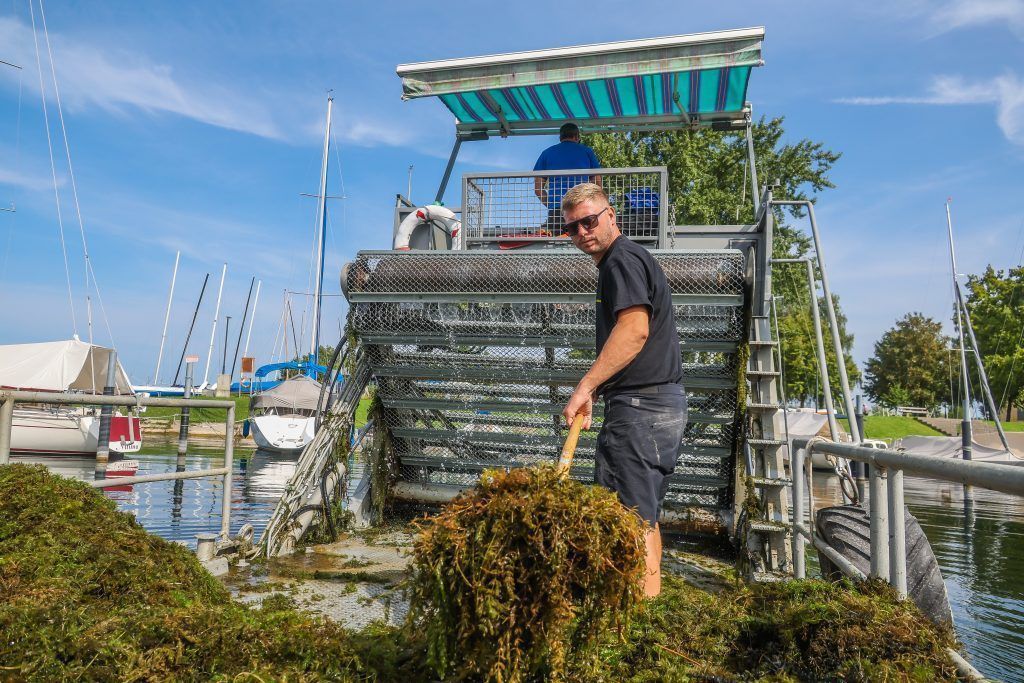 Die &#8220;Seekuh&#8221; räumt auf