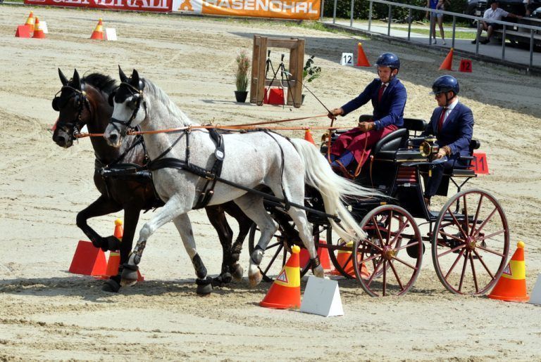 Gold für Alexander Bösch