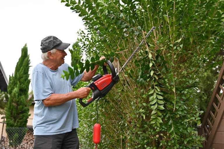 Herbert Eisen (82) schneidet die Hecke für eine Seniorin und nimmt ihr Arbeit ab, die sie selber nicht mehr erledigen kann. - „Wir können noch was machen“ - „Wir können noch was machen“