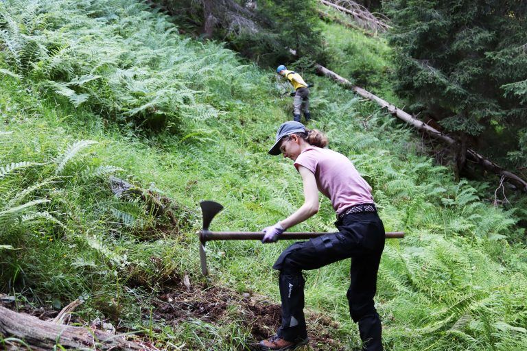 30 Jahre Bergwaldprojekt im Montafon