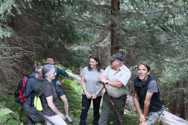 30 Jahre Bergwaldprojekt im Montafon