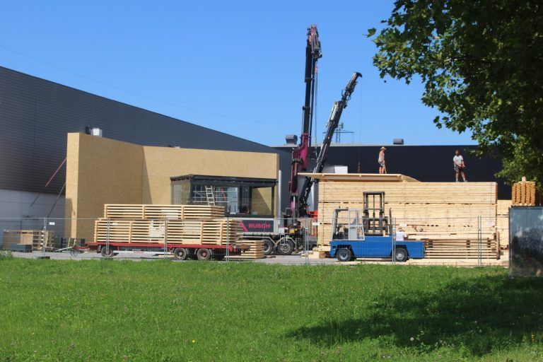 Wälder zeigen Handwerk und Lebensraum