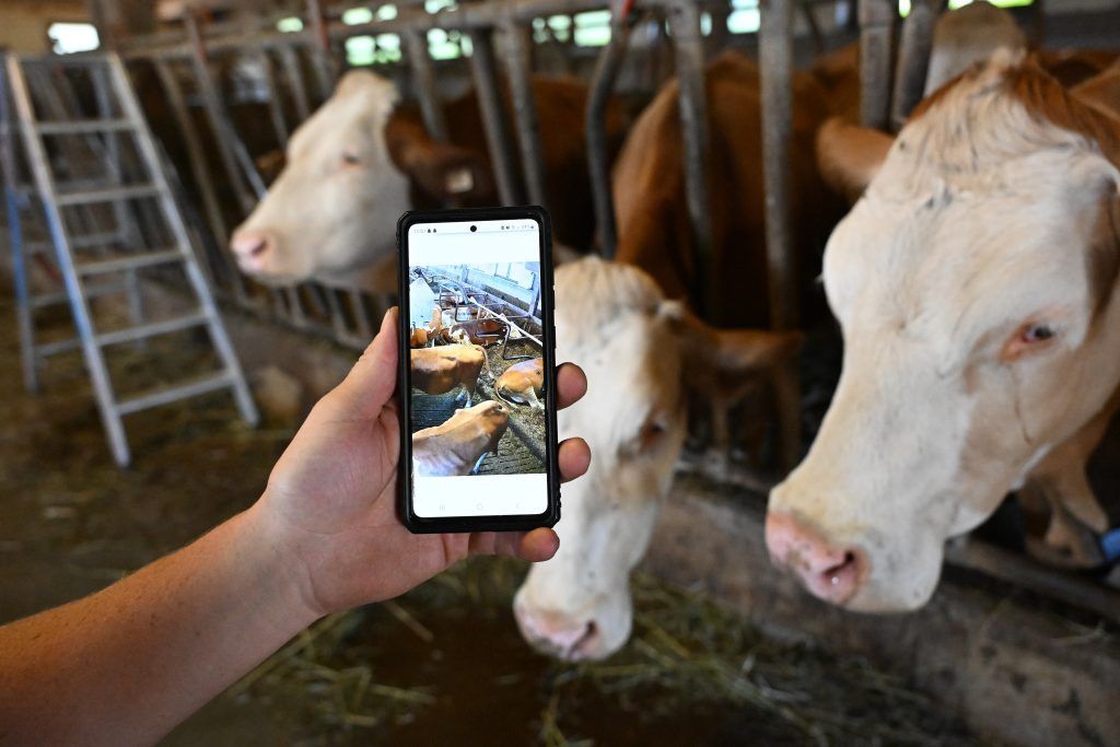 Vorarlbergs Bio-Bauern setzen auf digitalen Betriebshelfer