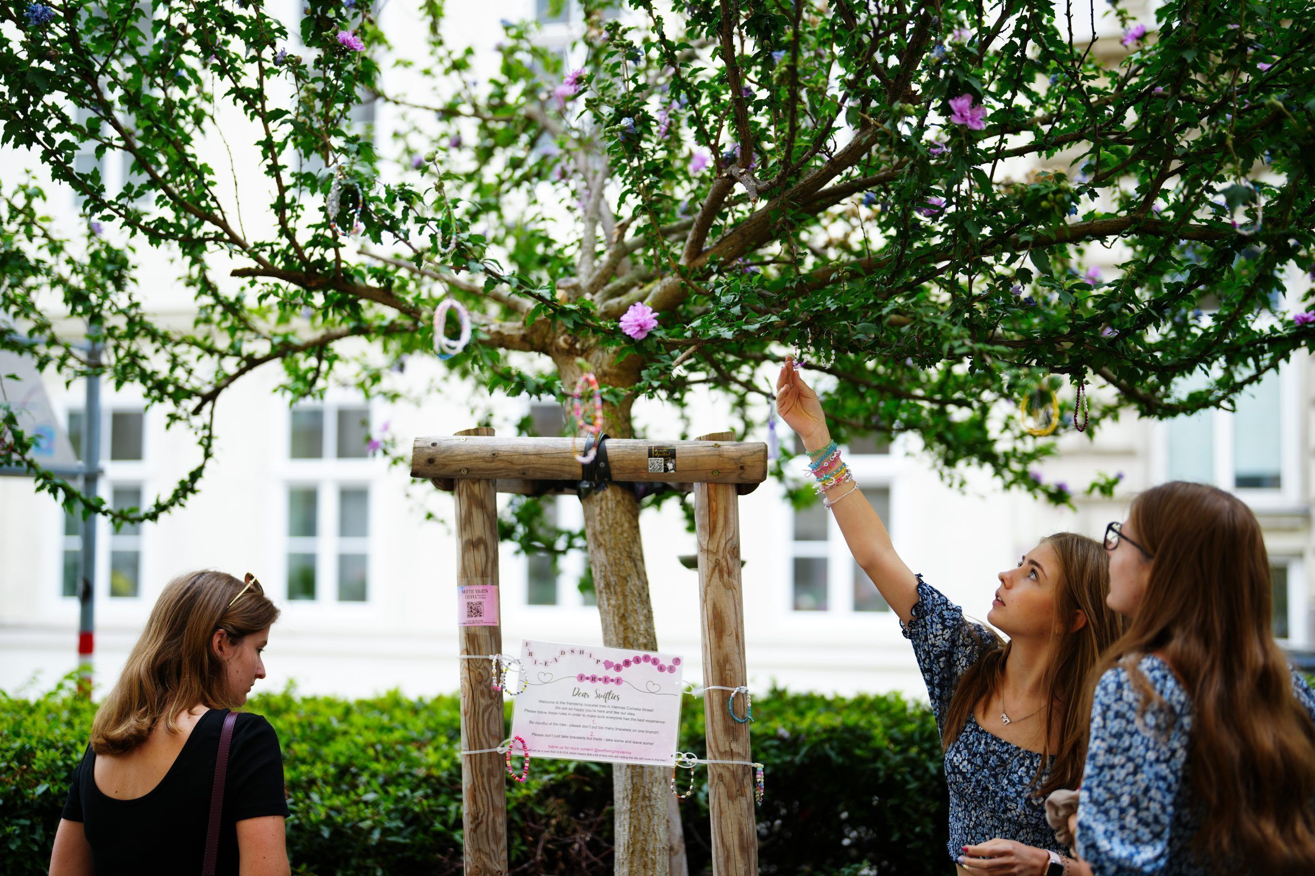 ABD0022_20240808 – WIEN –
STERREICH: Taylor Swift Fans, aufgenommen am Donnerstag, 8. August 2024 bei einem Baum in der Corneliusgasse in Wien. Nach der Festnahme zweier Terrorverdchtiger, die mglicherweise einen Anschlag auf die bevorstehenden Taylor Swift-Konzerte in Wien geplant haben, hat der Veranstalter Mittwochabend die Konzerte in der Bundeshauptstadt abgesagt. – FOTO: APA/EVA MANHART