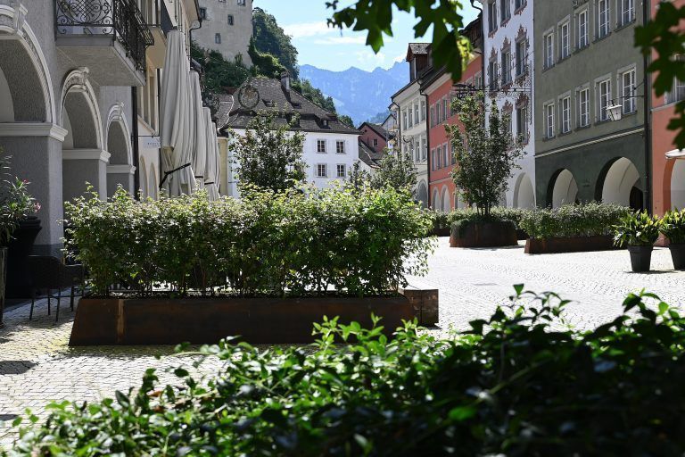 Begrünung der Feldkircher Neustadt