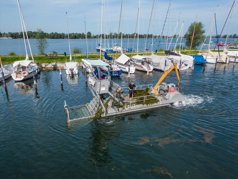 Seekuh im Einsatz, Bilder von den Arbeitern auf der Seekuh. Sie waren diese Woche in Hard im Einsatz und haben heute ihren letzten Tag.