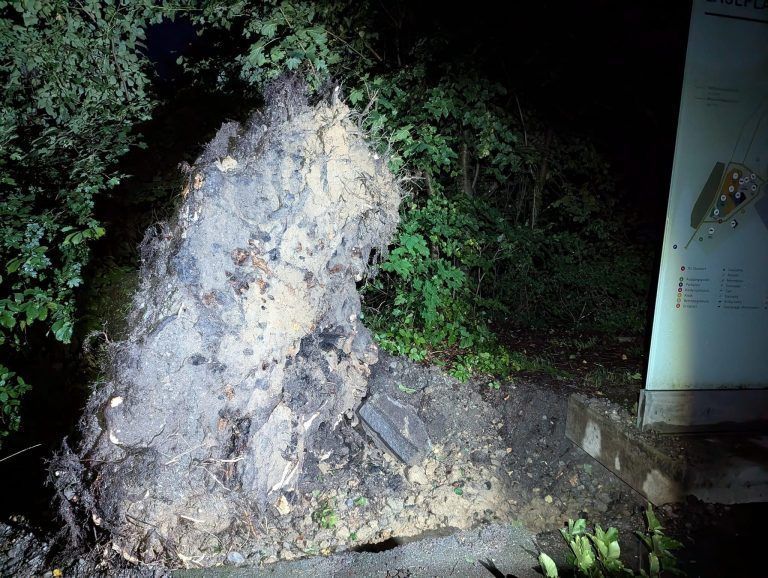 Unwetter Feldkirch Wildpark