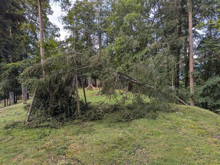 Unwetter Feldkirch Wildpark