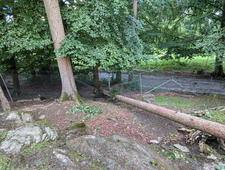 Unwetter Feldkirch Wildpark