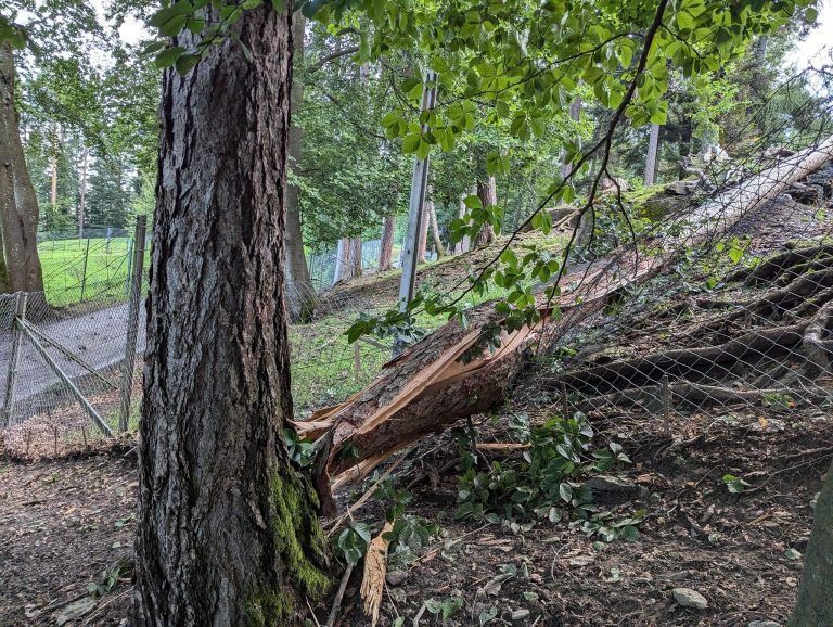 Unwetter Feldkirch Wildpark