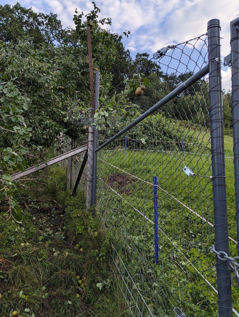 Unwetter Feldkirch Wildpark