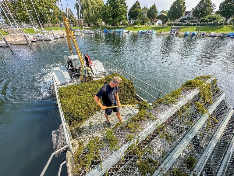 Seekuh im Einsatz, Bilder von den Arbeitern auf der Seekuh. Sie waren diese Woche in Hard im Einsatz und haben heute ihren letzten Tag.