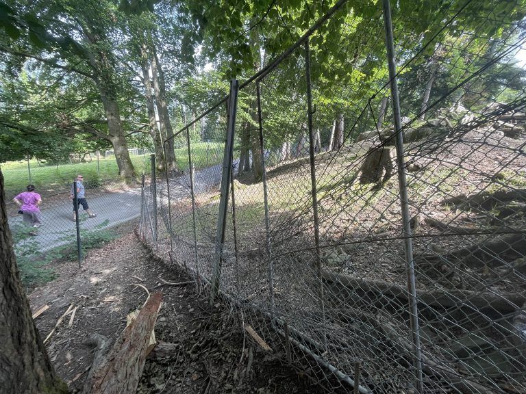 Aufräumarbeiten Wildpark Feldkirch Sturm