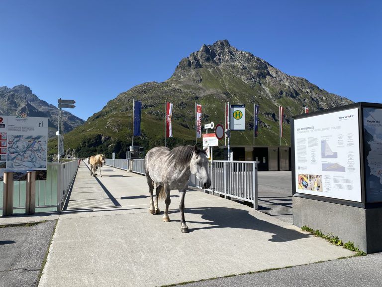 Silvretta Bielerhöhe, Silvretta Hochalpenstraße