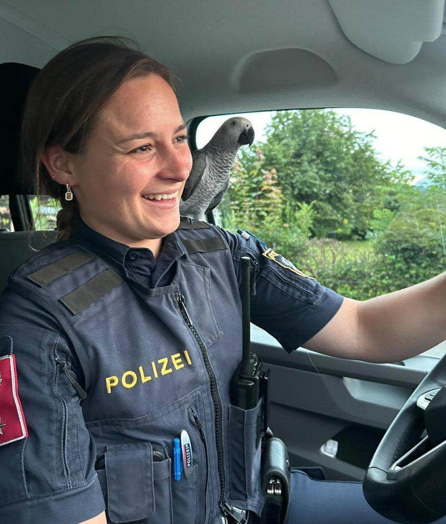 Papageiendame „Linda“ auf Streife