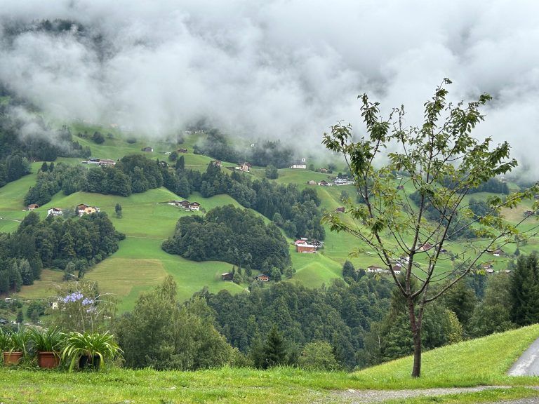 Petra Stemer, Stickerin, Montafoner Tracht, Vorarlbergerin des Tages