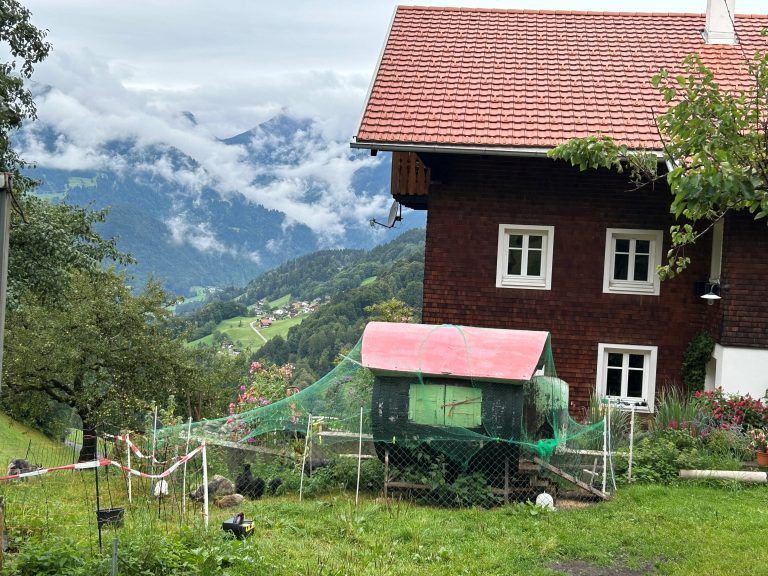 Petra Stemer, Stickerin, Montafoner Tracht, Vorarlbergerin des Tages