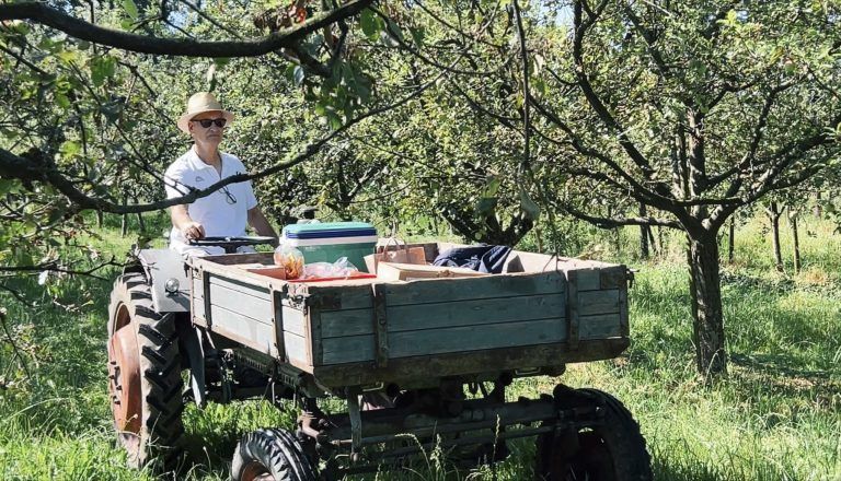 Slow aber stilgerecht zum Picknick unter den Apfelbäumen