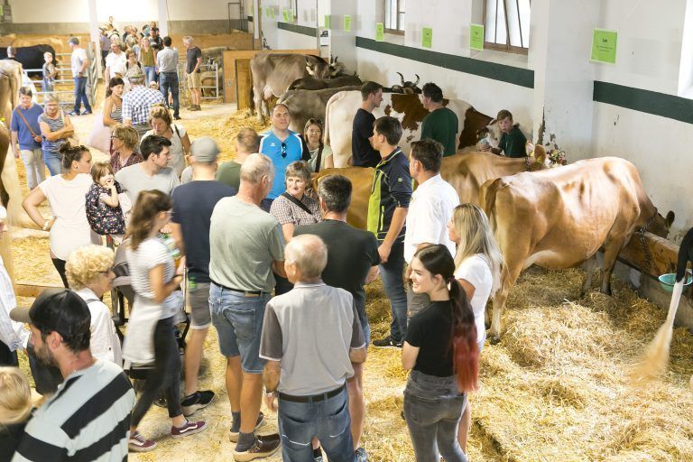 Dornbirn am 4.9.2022 Tag der Landwirtschaft, LKW. Landwirtschaftskammer Vorarlberg, Familienfest, Tierschau, Kleintiere, Essen und Getraenke, Nachhaltigkeit, Regional