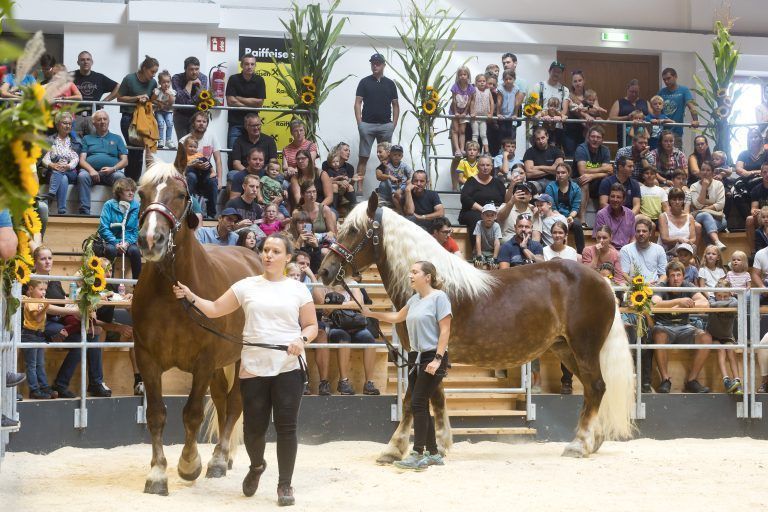 Dornbirn am 4.9.2022 Tag der Landwirtschaft, LKW. Landwirtschaftskammer Vorarlberg, Familienfest, Tierschau, Kleintiere, Essen und Getraenke, Nachhaltigkeit, Regional