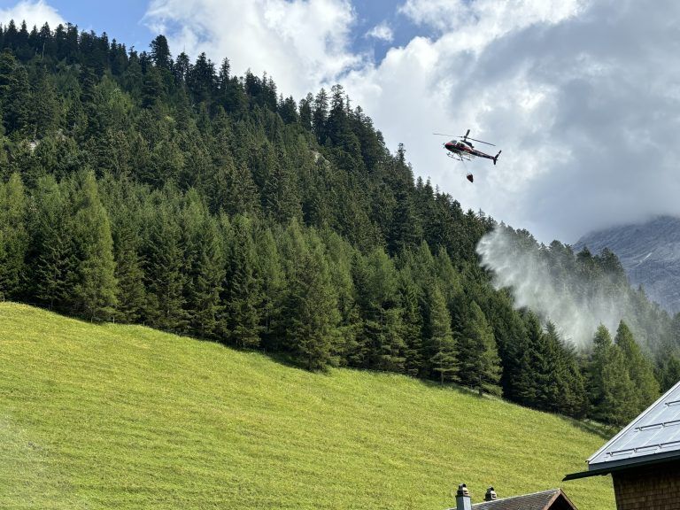 Waldbrandübung Nenzinger Himmel