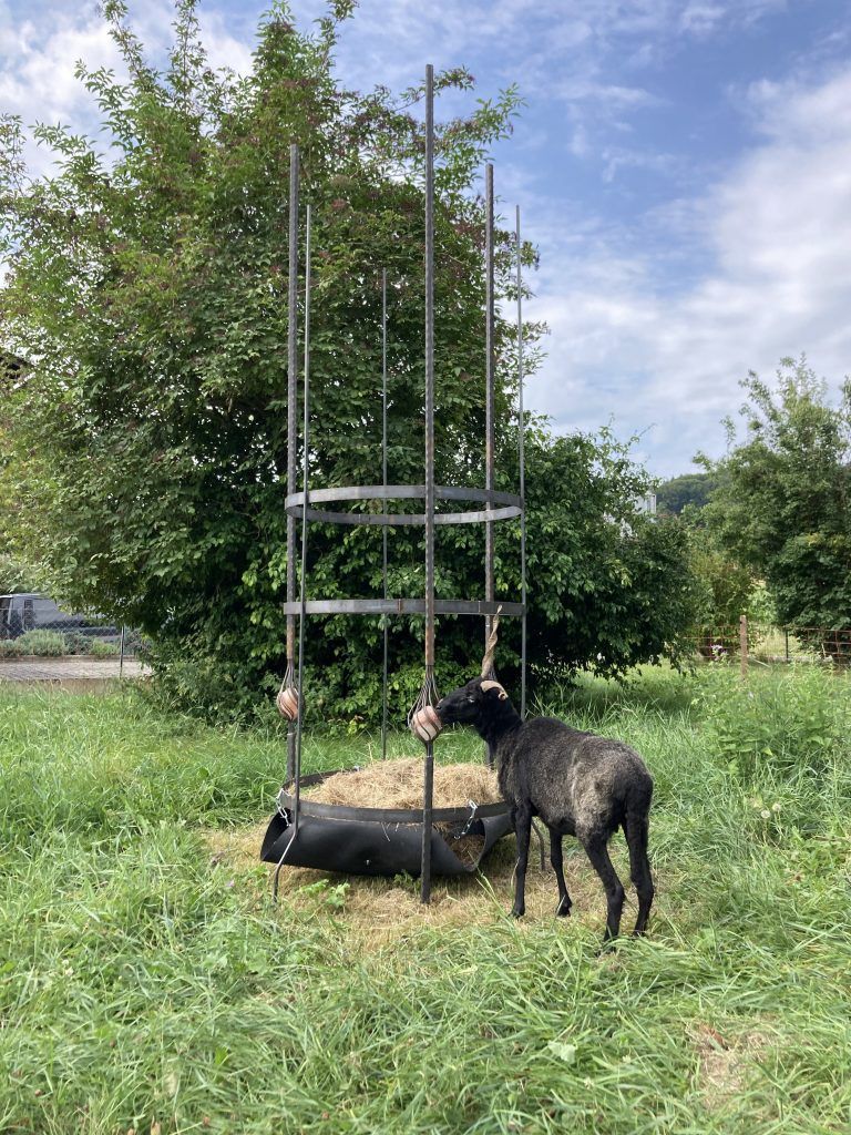 Landwirtschaft in Verbindung mit Kunst