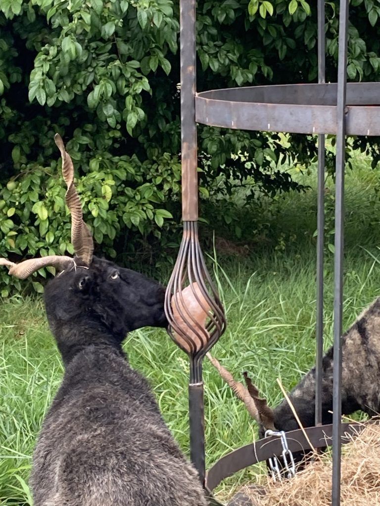 Landwirtschaft in Verbindung mit Kunst
