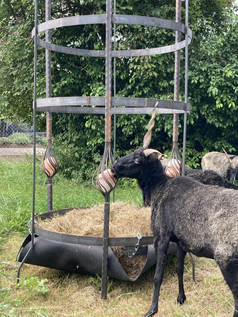 Landwirtschaft in Verbindung mit Kunst