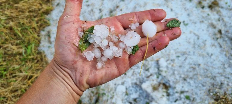 Murenabgang Galgenul, Aufräumarbeiten