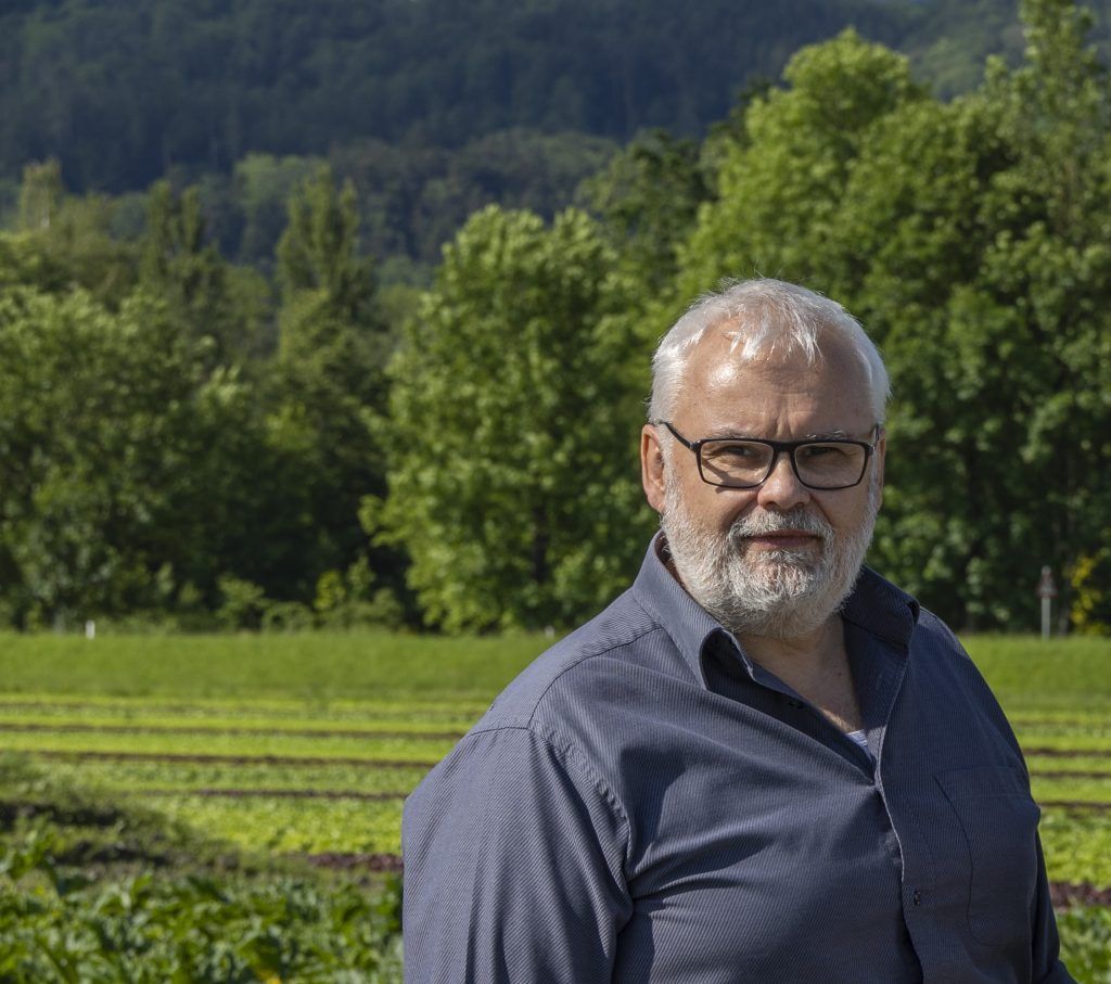 Gefürchteter Käfer im Anflug auf Vorarlberg: „Es ist nur eine Frage der Zeit, bis er ins Land kommt“
