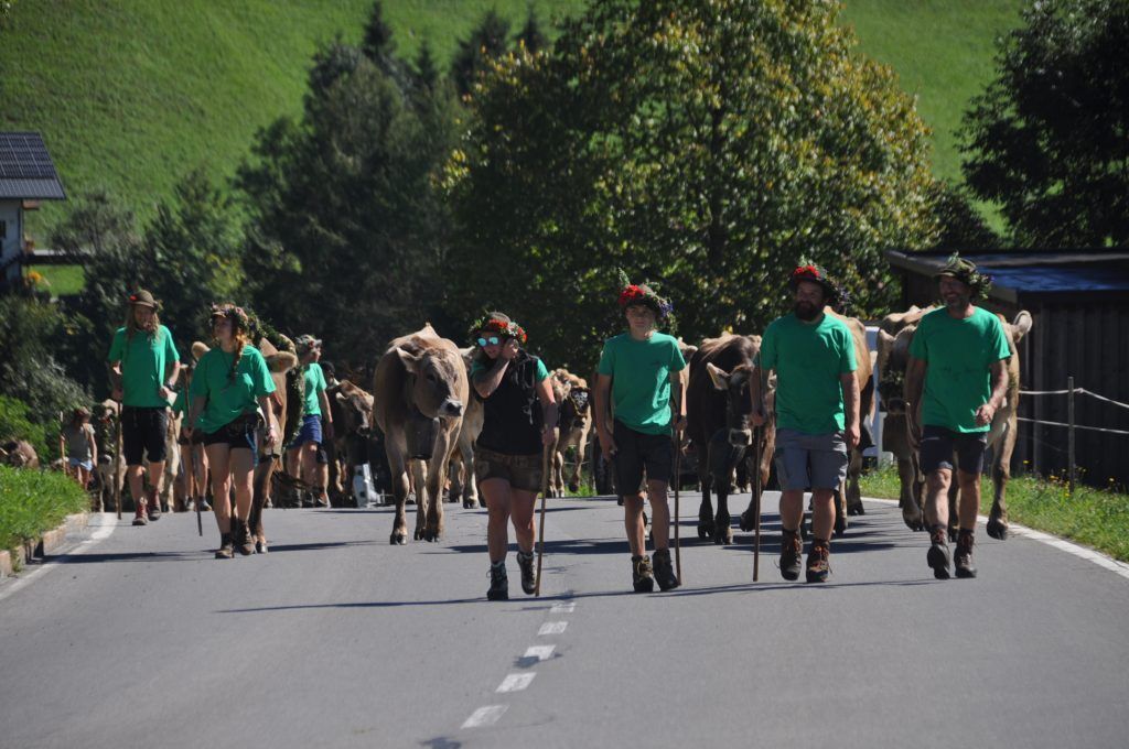 Alpabfahrt im Großen Walsertal: Viehscheid in Garsella