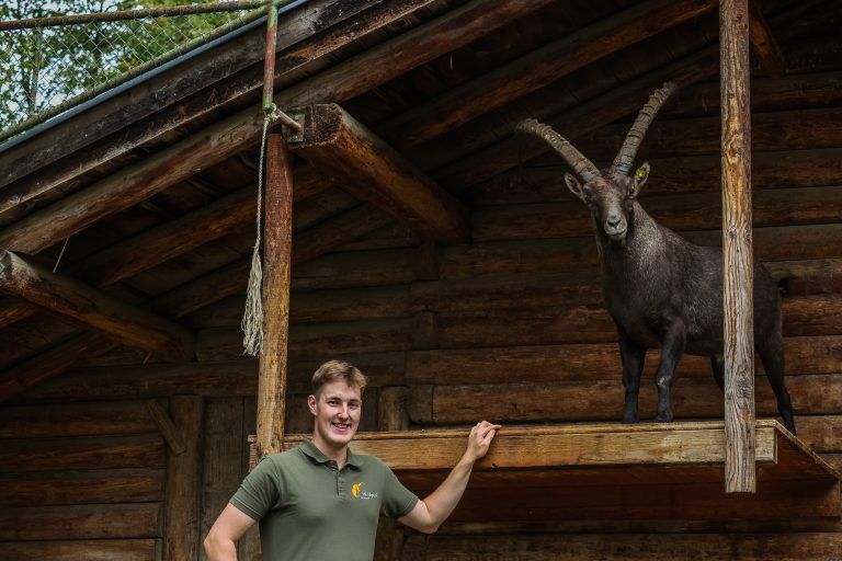 Wildpark Feldkirch