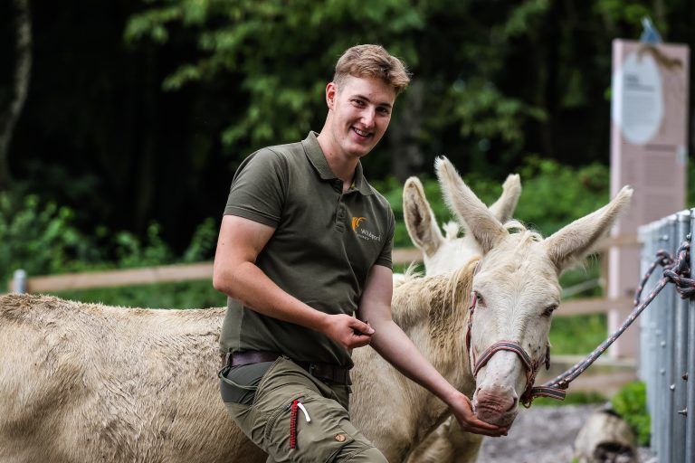 Wildpark Feldkirch