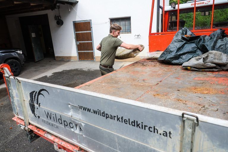 Wildpark Feldkirch